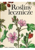 Rośliny lecznicze