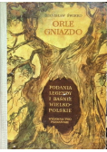 Orle gniazdo