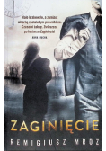 Zaginięcie