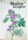 Rośliny Lecznicze