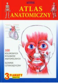 Atlas Anatomiczny