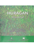 Huragan Stulecia