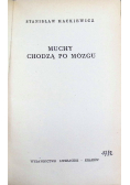 Muchy chodzą po mózgu