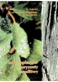 Kontemplacyjne horyzonty modlitwy