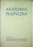 Anatomia Plastyczna