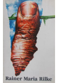 Odziany światłem