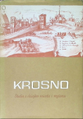 Krosno studia z dziejów miasta i regionu Tom I