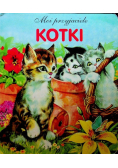 Moi przyjaciele kotki
