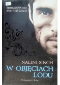 W objęciach lodu