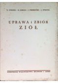 Uprawa i zbiór ziół 1950 r.