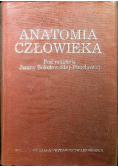 Anatomia człowieka