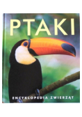 Ptaki Encyklopedia zwierząt
