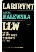 Labirynt LLW czyli co się może wydarzyć jutro