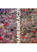 Naprawiacze