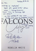 Falcons City