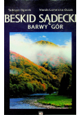 Beskid Sądecki barwy gór
