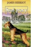Szał pracy