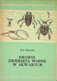 Drobne zwierzęta wodne w akwarium