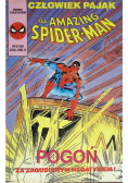 The amazing Spiderman Nr 6