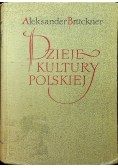 Dzieje kultury polskiej Tom III