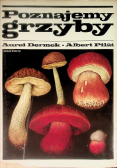 Poznajemy grzyby