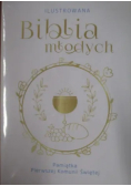 Ilustrowana Biblia młodych