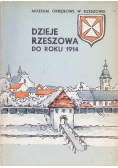 Dzieje Rzeszowa do roku 1914