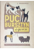 Puc Bursztyn i goście