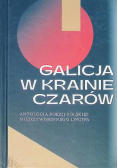 Galicja w krainie czarów Antologia poezji polskiej międzywojennego Lwowa