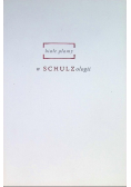 Białe plamy w schulzologii