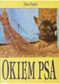 Okiem psa