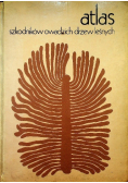 Atlas szkodników owadzich drzew leśnych