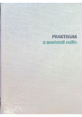 Praktikum z anatomii roślin