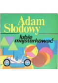 Lubię majsterkować