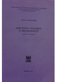 Biskupstwo wileńskie w średniowieczu