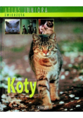 Atlas juniora Koty