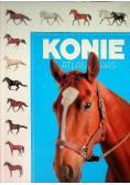 Atlas ras Konie