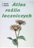 Atlas roślin leczniczych