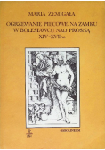 Ogrzewanie piecowe na zamku w Bolesławcu nad Prosną XIV - XVII w.