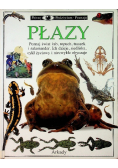 Patrzę podziwiam poznaję Płazy