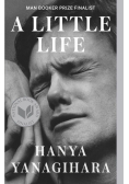 A little Life