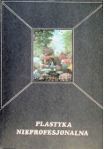 Plastyka nieprofesjonalna