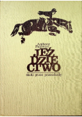 Jeździectwo skoki przez przeszkody