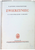 Zwierzyniec 1931 r.