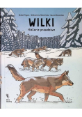 Wilki