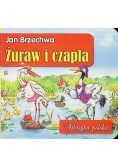Żuraw i czapla klasyka polska
