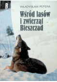 Wśród lasów i zwierząt Bieszczad