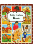 Konie