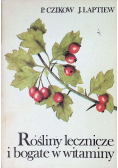 Rośliny lecznicze i bogate w witaminy