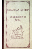 Moje leczenie wodą